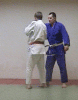 Seoi-nage (enarms-variant)