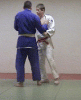 Tani-otoshi